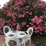 Delle Rose Affittacamere