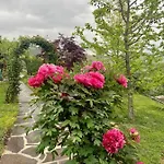 Delle Rose 4* ברולו