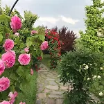 בית הארחה Delle Rose ברולו