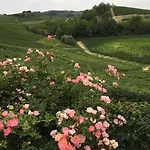 Delle Rose