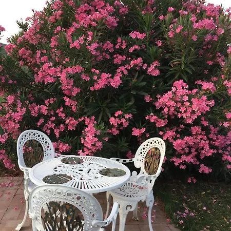 Delle Rose Maison d'hôtes