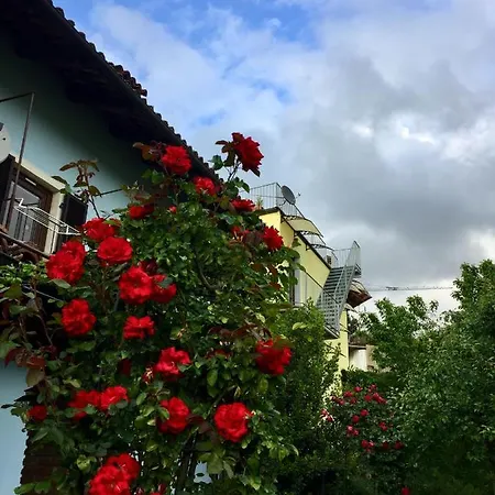 Delle Rose 4* 바롤로