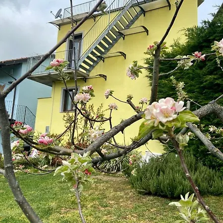 Delle Rose Guest house