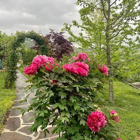 Delle Rose 4* 바롤로