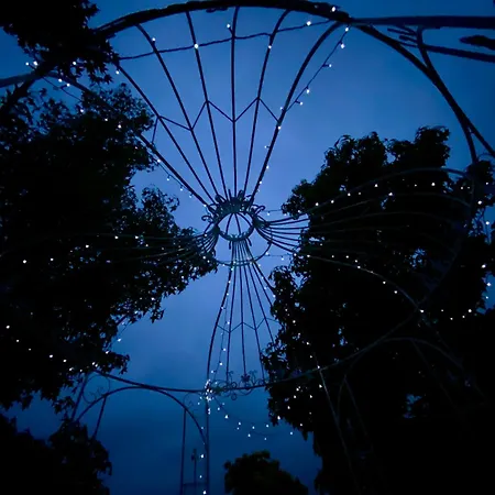 Delle Rose بارولو