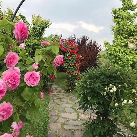 Pensionat Delle Rose Barolo