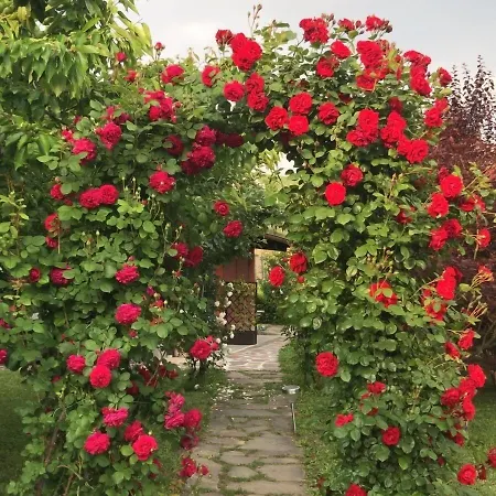 Delle Rose Maison d'hôtes 4*