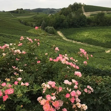 Delle Rose