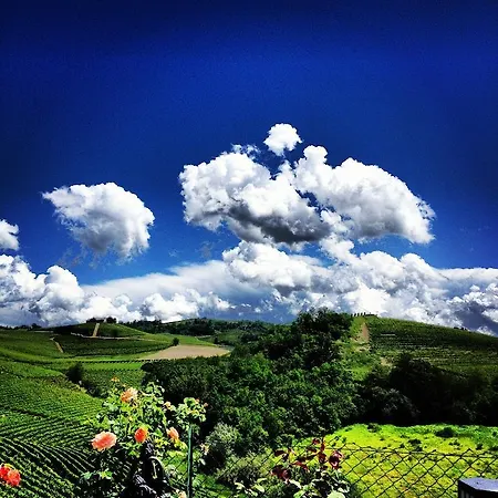 Delle Rose Guest house Barolo