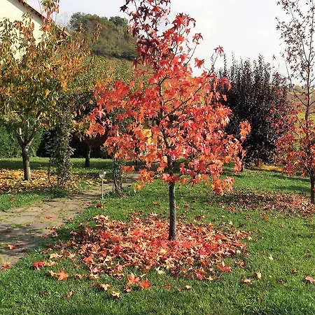 Delle Rose 4*