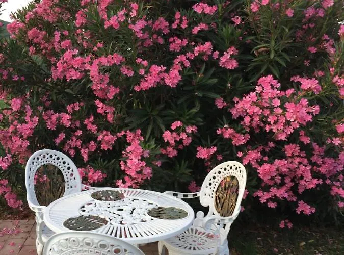 Delle Rose بيت ضيافة