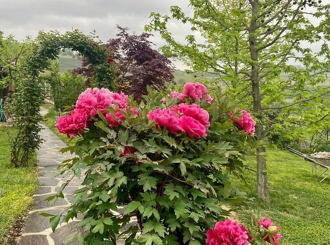 Delle Rose 4* بارولو
