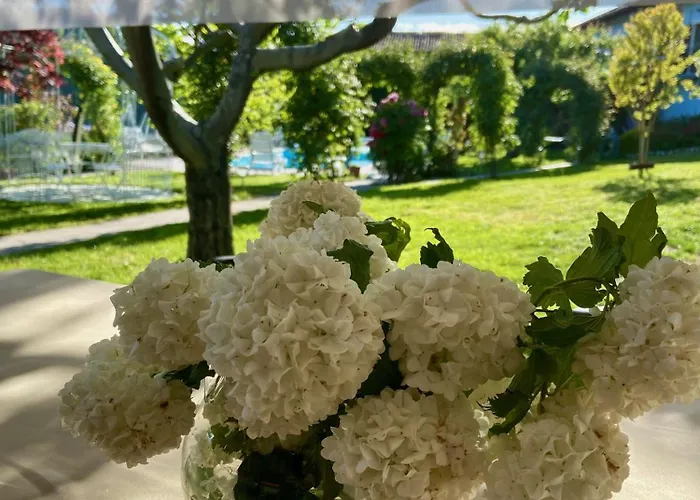 بيت ضيافة Delle Rose 4*