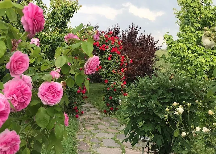 بيت ضيافة Delle Rose بارولو