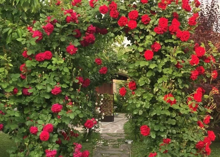 Delle Rose بيت ضيافة 4*