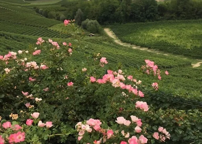 Delle Rose