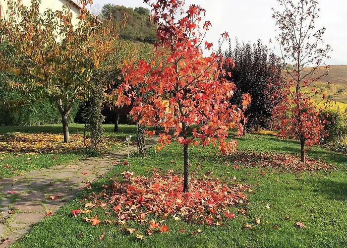 Delle Rose 4*